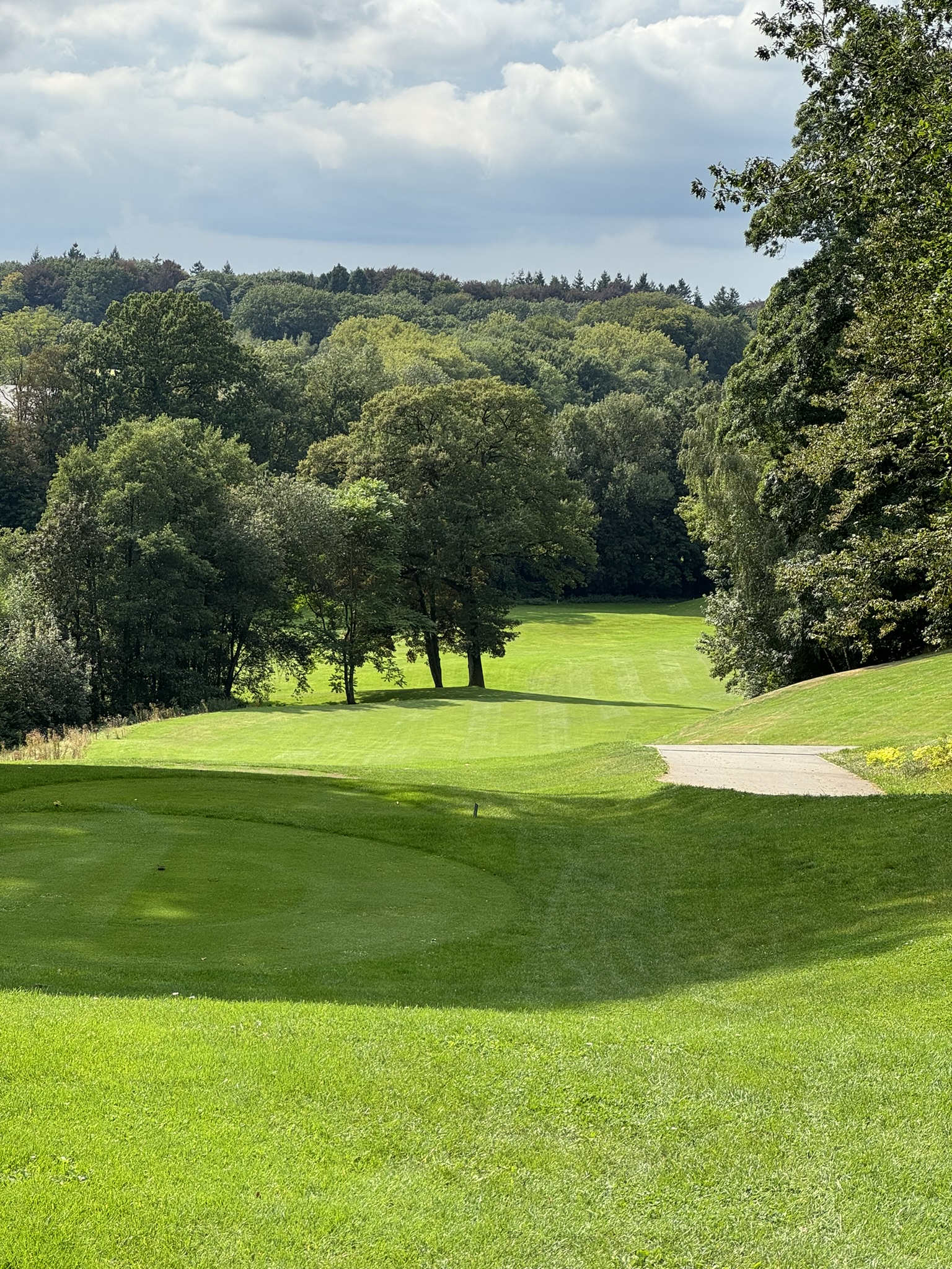 Golf Château de la Bawette - fairway encadré de forêts