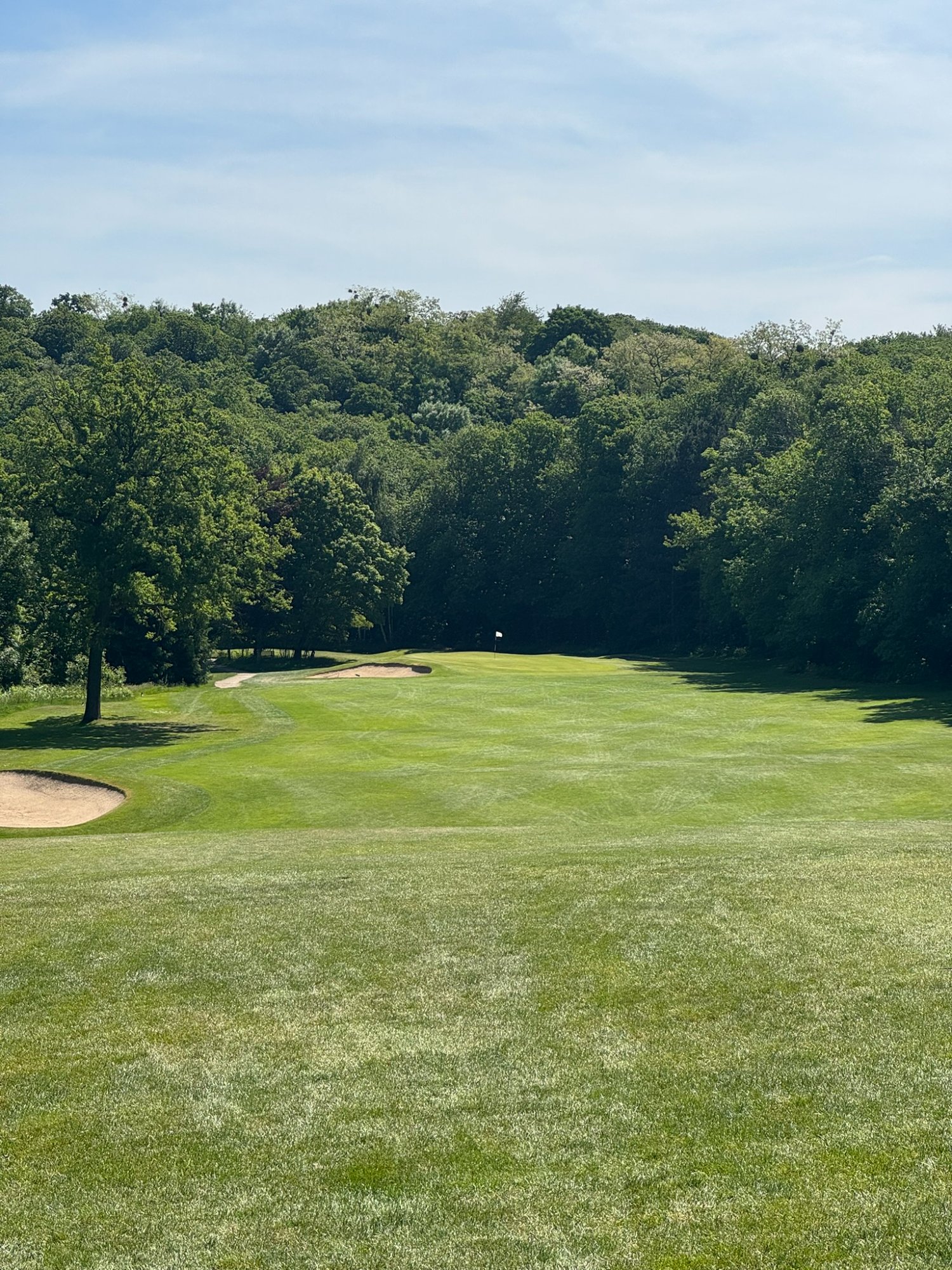 Golf de Domont-Montmorency - approche avec bunker et forêt en fond
