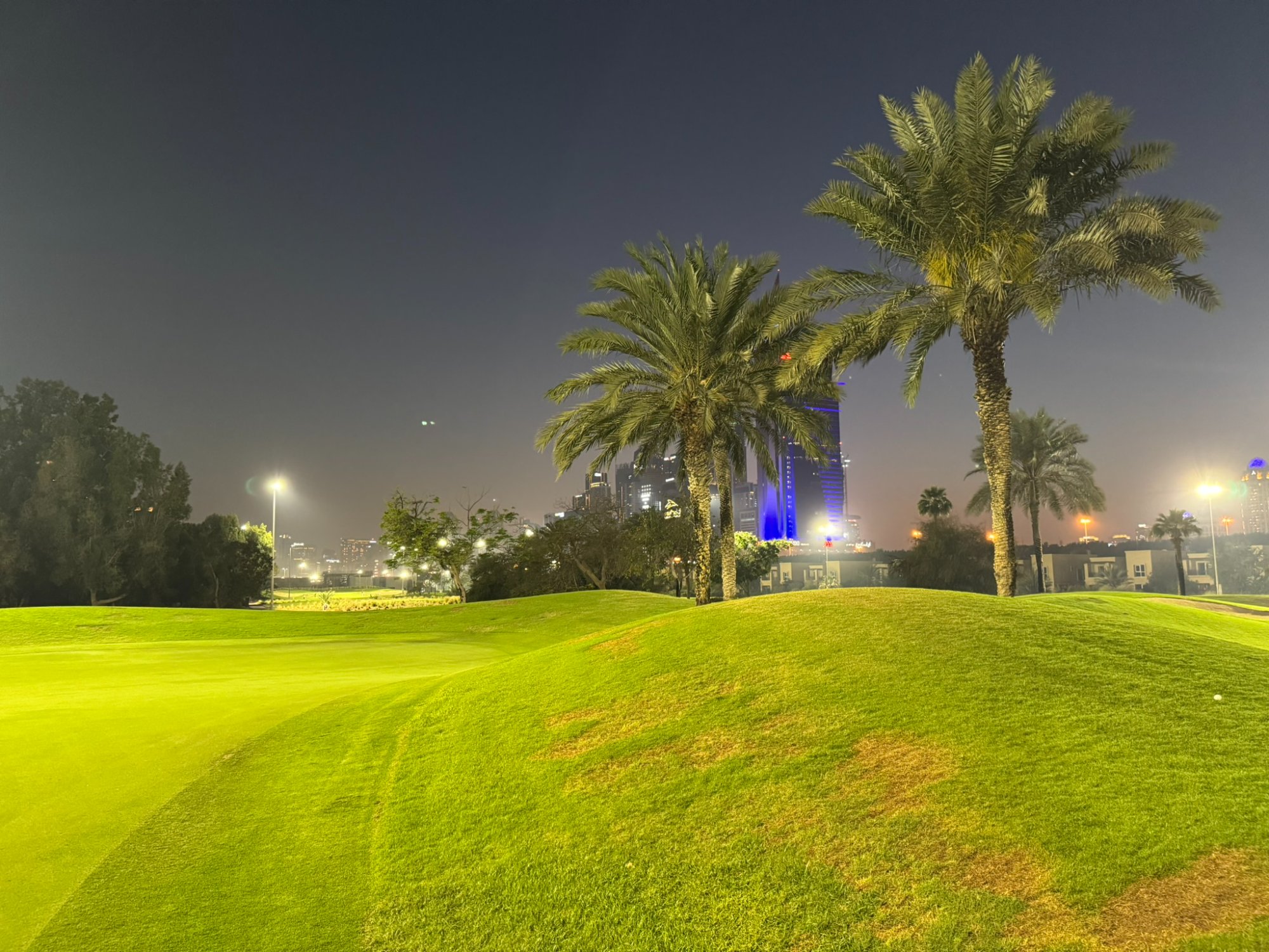 Emirates Golf Club - palmeraie de nuit avec Burj Al Arab