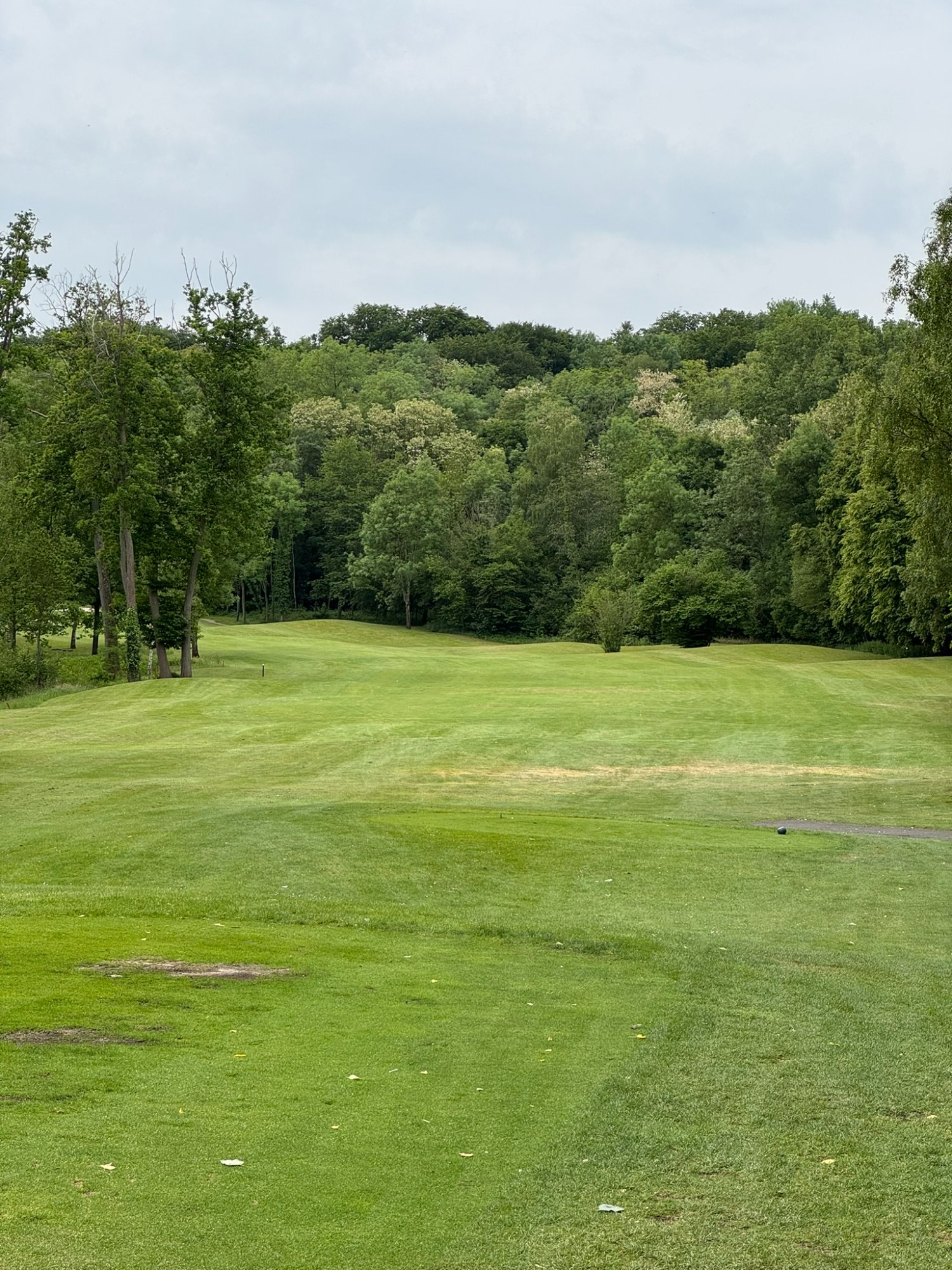 Golf de l'Isle Adam - fairway vallonné boisé