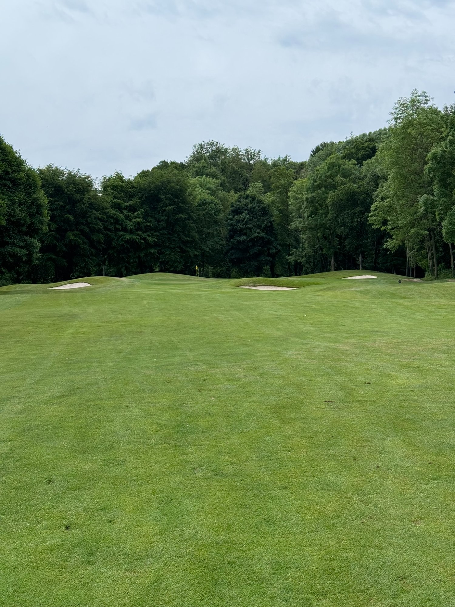 Golf de l'Isle Adam - approche avec bunkers encadrés de forêt