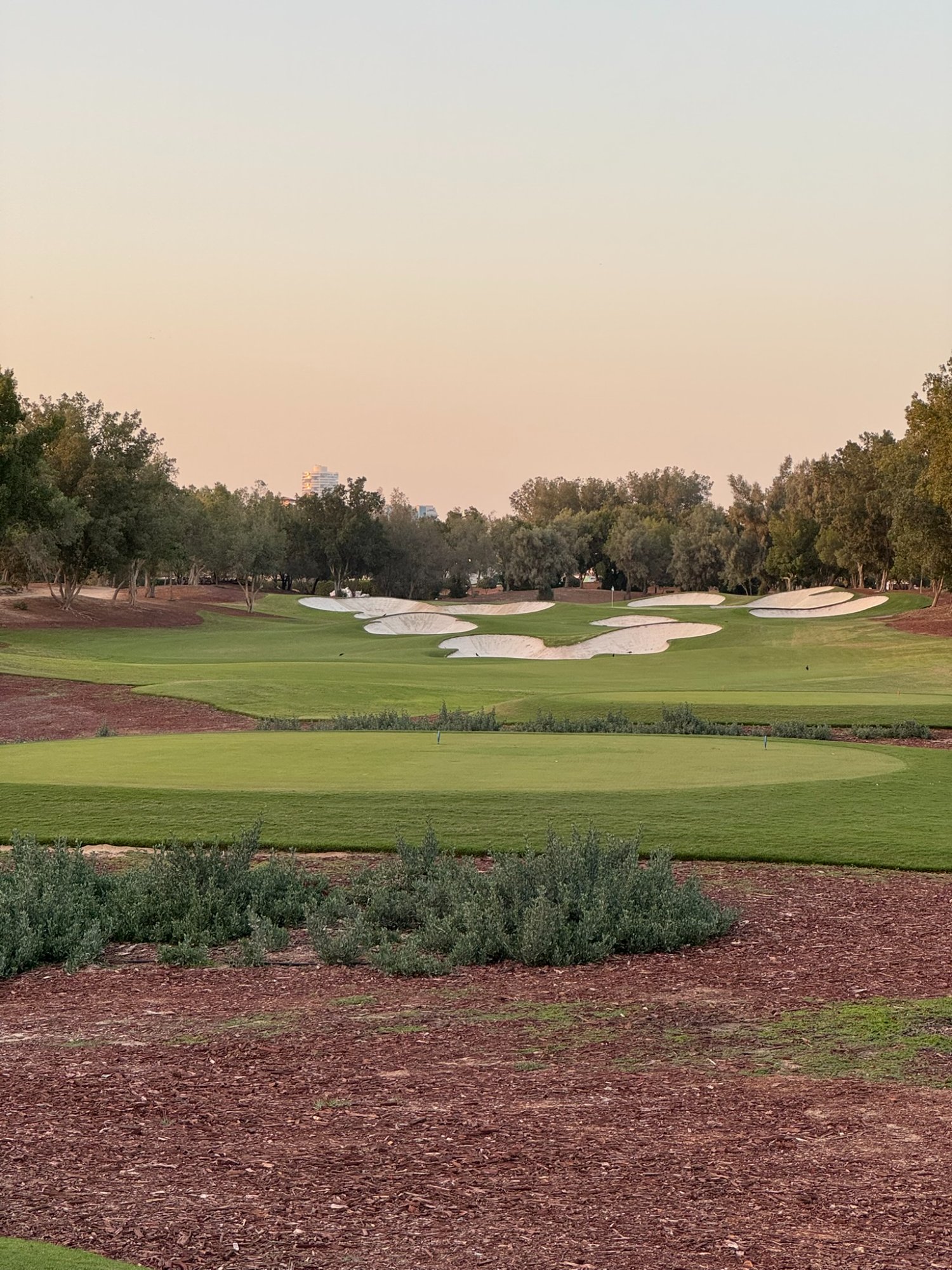 Jumeirah Golf Estate - green et bunkers au coucher de soleil