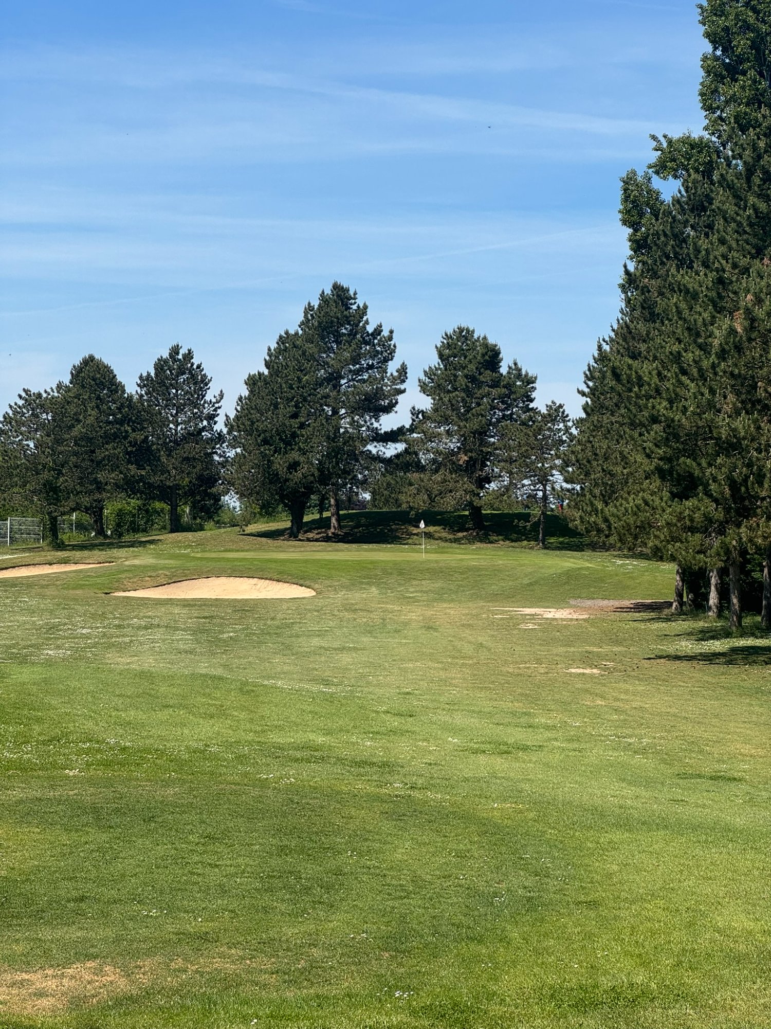 Golf de Mont Griffon - green avec bunkers et pins