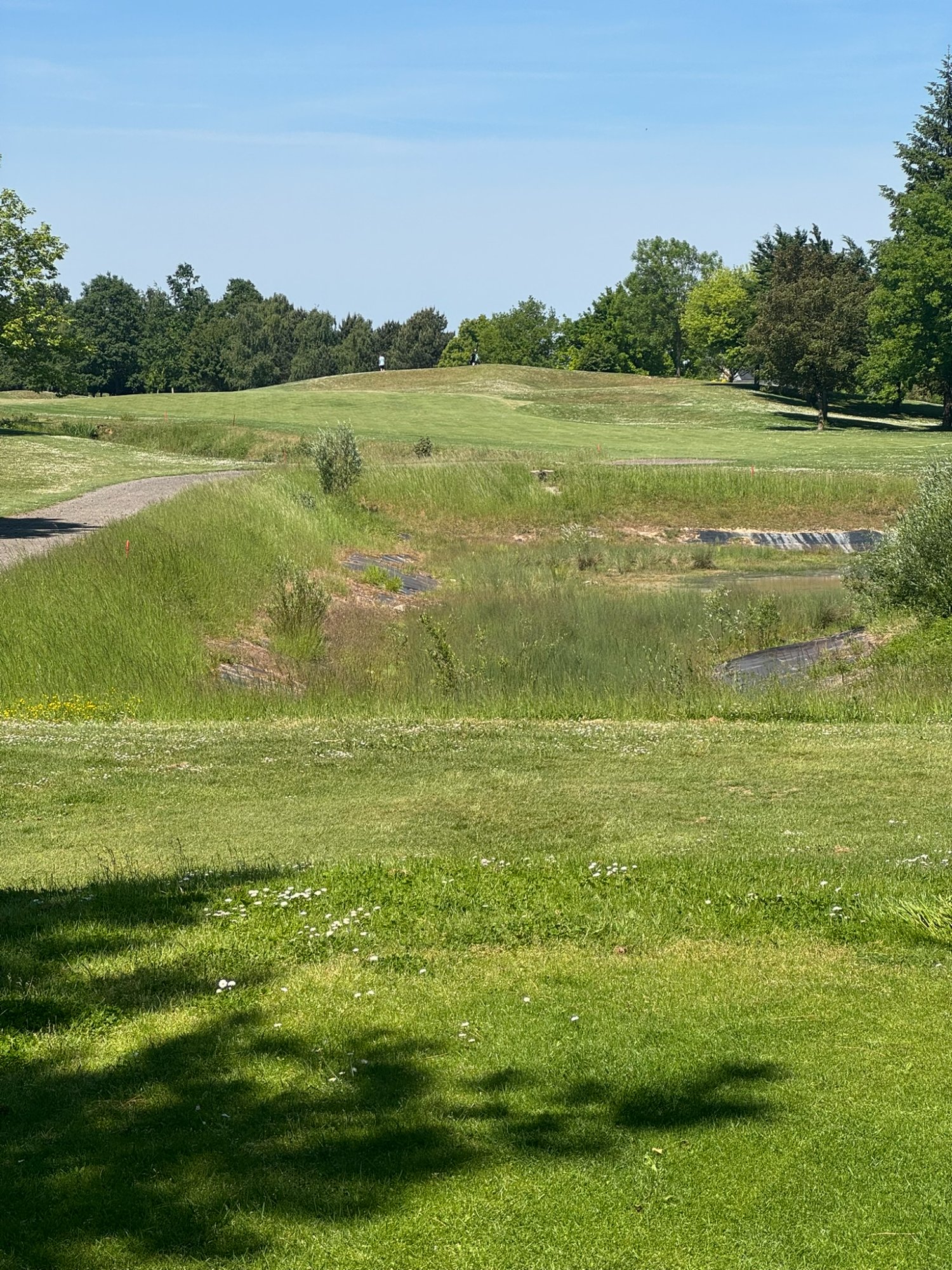 Golf de Mont Griffon - trou avec ruisseau et relief vallonné