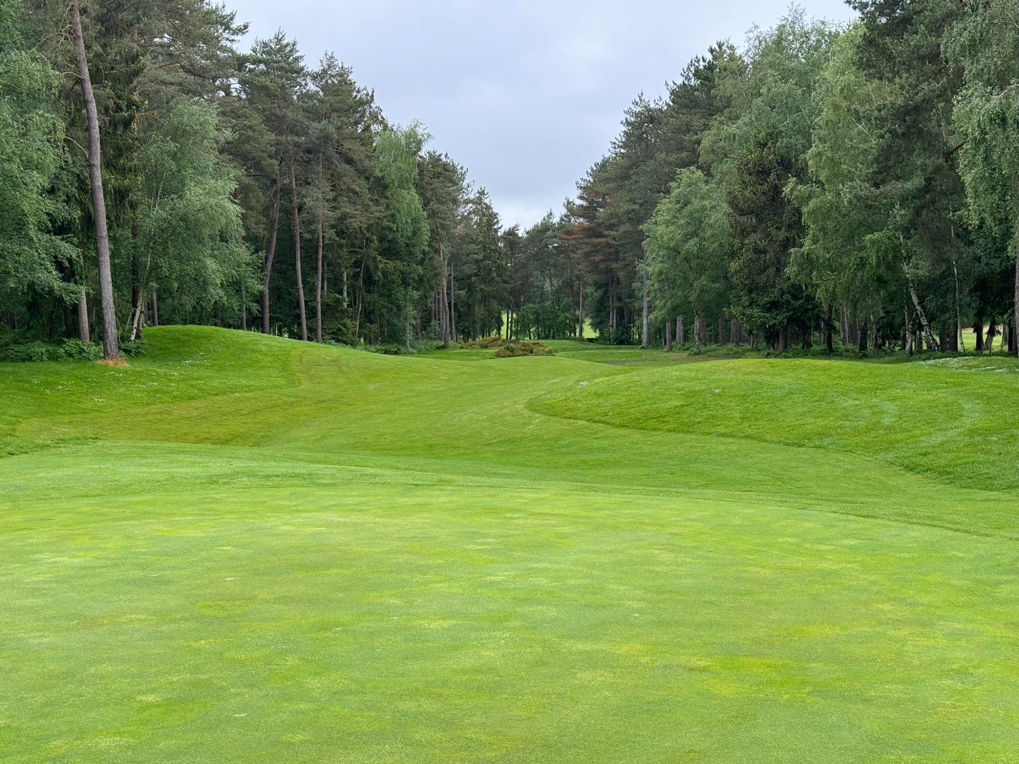 Golf du Champ de Bataille - fairway principal