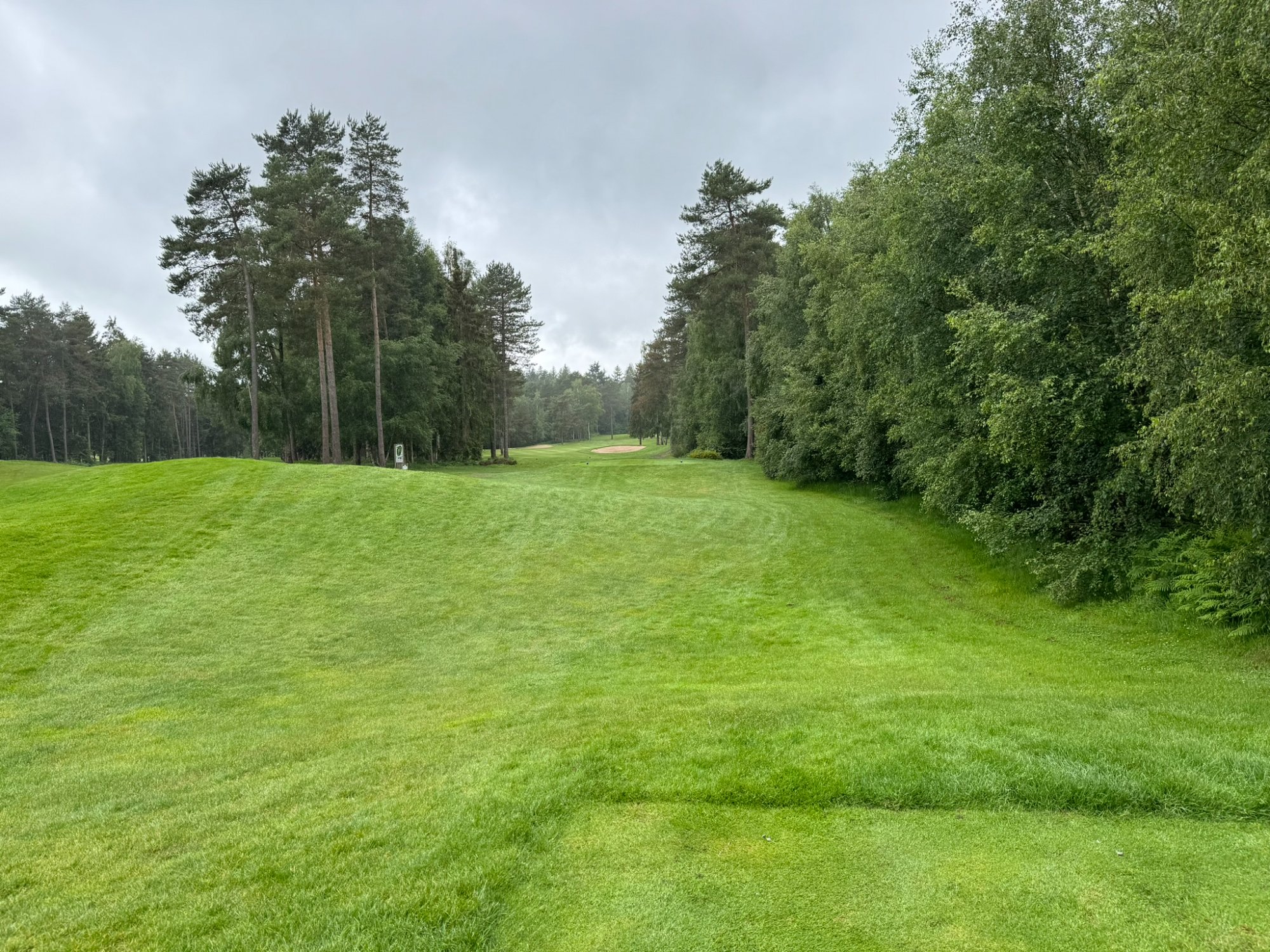 Golf du Champ de Bataille - vue sur le green