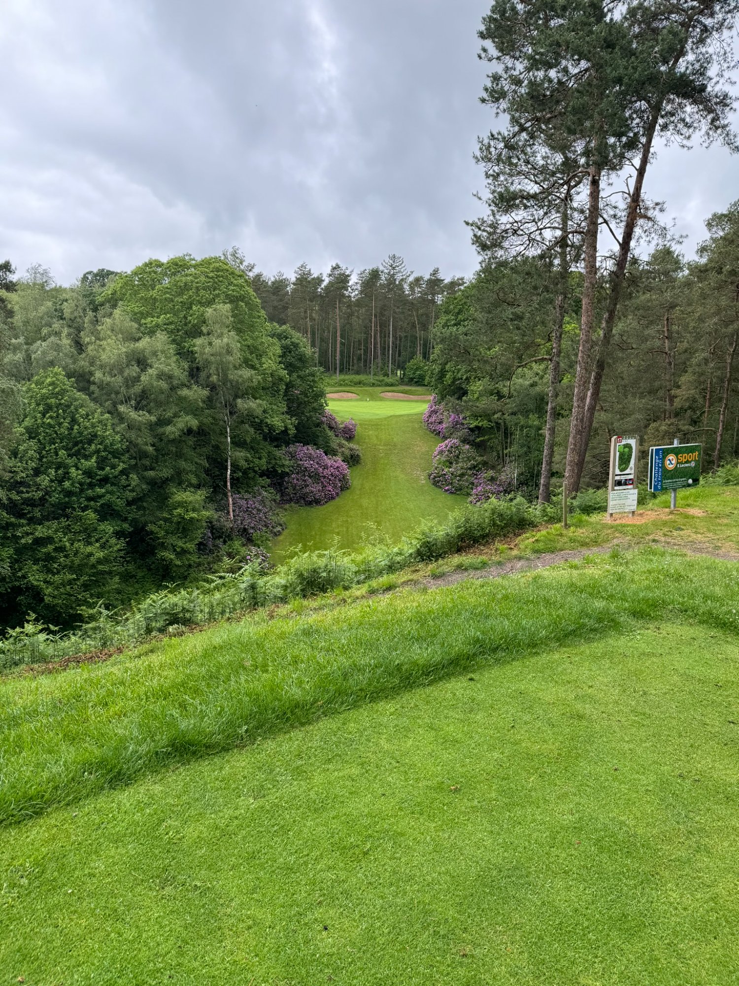 Golf du Champ de Bataille - allée boisée