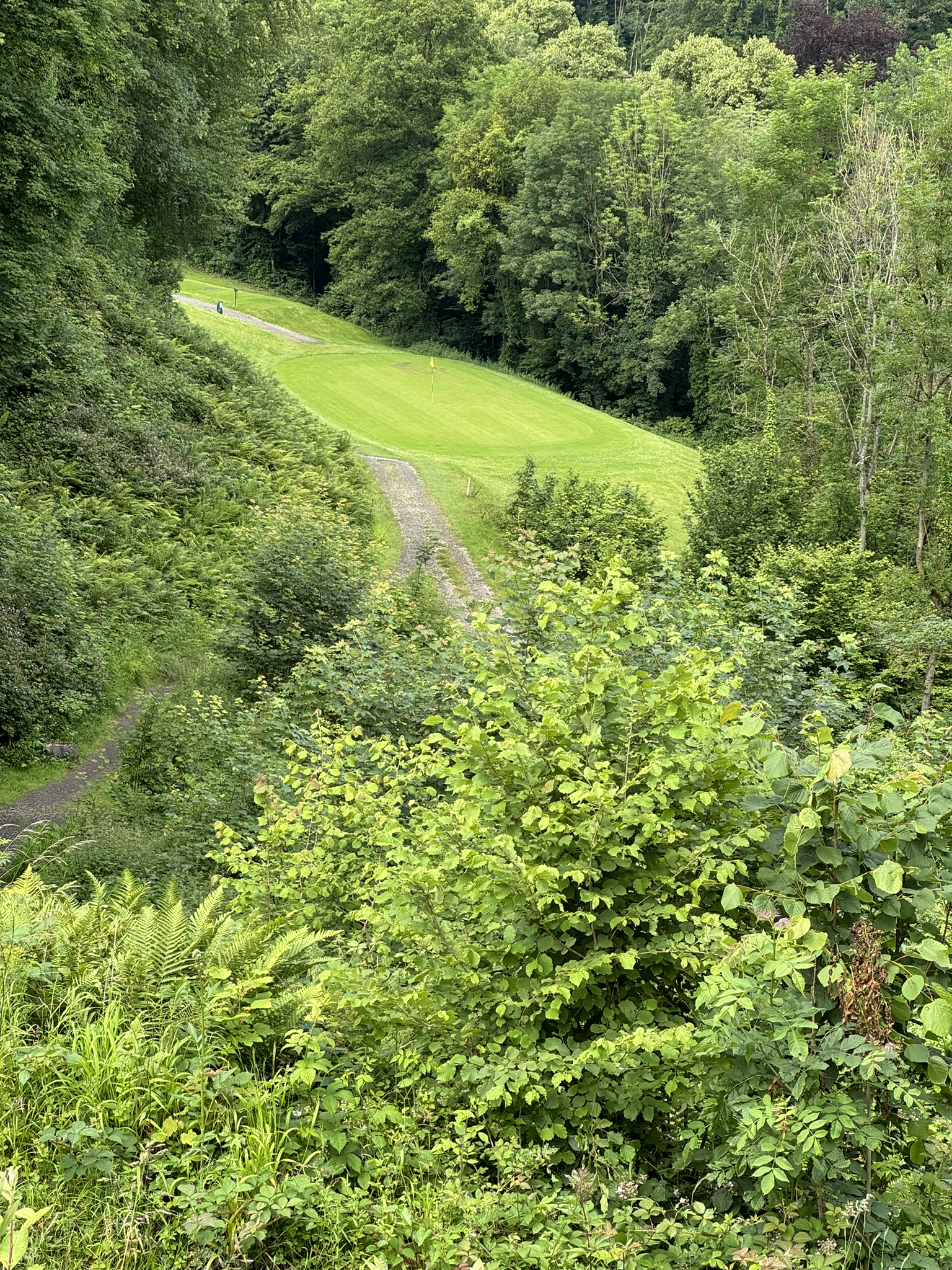 Golf de Rougemont - trou encaissé dans la forêt