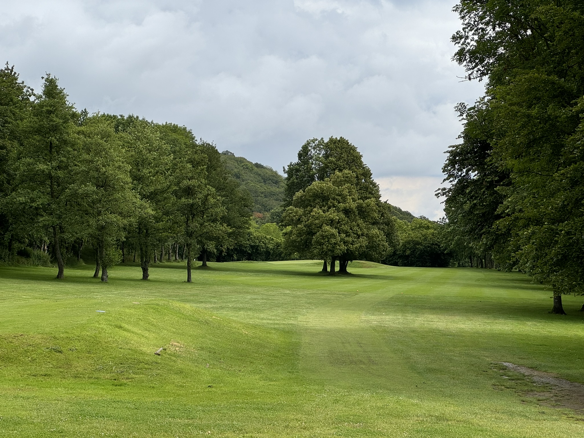 Golf de Rougemont - fairway boisé et vallonné