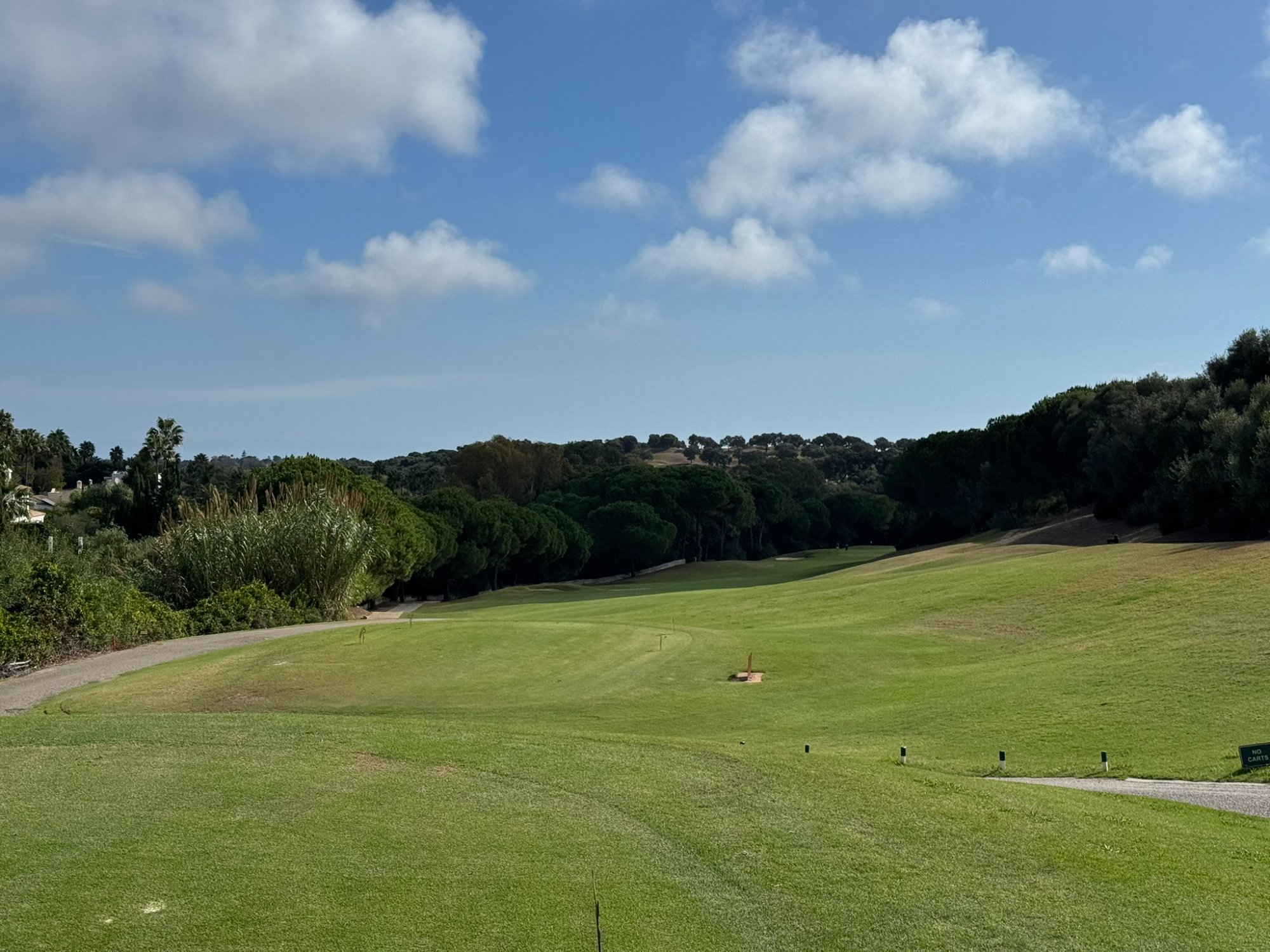 The Alto Club Sotogrande - fairway vallonné et pins