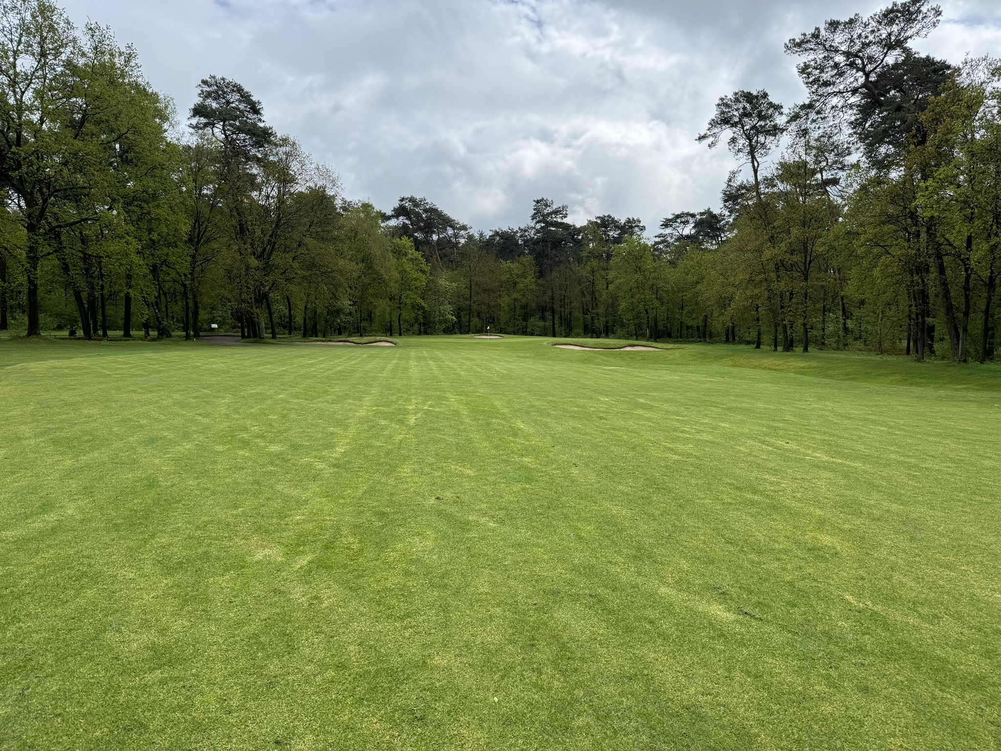 Golf Spiegelven - fairway en forêt avec bunkers